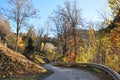 On the road in the woods in full autumn. Trentino Alto Adige Royalty Free Stock Photo