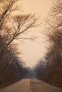 Road through the woods at sunset Royalty Free Stock Photo