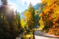 Road in the yellow autumn forest at sunny day. Alps mountains, Austria Royalty Free Stock Photo