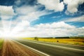 Road through the yellow sunflower field Royalty Free Stock Photo