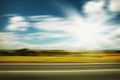 Road through the yellow sunflower field Royalty Free Stock Photo