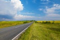 Road through the yellow sunflower field Royalty Free Stock Photo