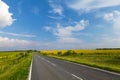 Road through the yellow sunflower field Royalty Free Stock Photo