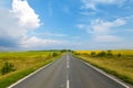 Road through the yellow sunflower field Royalty Free Stock Photo