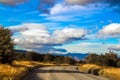 Road among yellowing grass Royalty Free Stock Photo