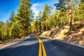 Road in the Yosemite National Park during a Sunny Day, California Royalty Free Stock Photo