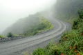 Road in Yungas, Bolivia Royalty Free Stock Photo