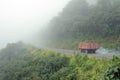 Road in Yungas, Bolivia Royalty Free Stock Photo