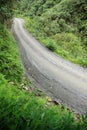 Road in Yungas, Bolivia Royalty Free Stock Photo