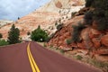 Road through Zion National Park