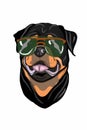 Roadfighter dog head drawing , glasses Royalty Free Stock Photo