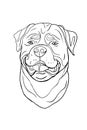 Roadfighter dog head drawing Royalty Free Stock Photo