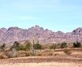 Roadrunner campground, Quartzsite, Arizona, USA Royalty Free Stock Photo