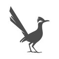Roadrunner logo icon design Royalty Free Stock Photo