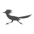 Roadrunner logo icon design Royalty Free Stock Photo