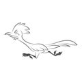 Roadrunner logo icon design Royalty Free Stock Photo