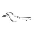 Roadrunner logo icon design Royalty Free Stock Photo