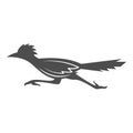 Roadrunner logo icon design Royalty Free Stock Photo