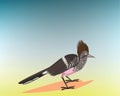 Roadrunner, Royalty Free Stock Photo