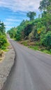 Roads built in West Papua Province that connect villages really help local communities access transportation