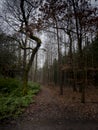 Roads are in countryside in the autumn Royalty Free Stock Photo