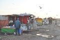 The main fisher mans market, Essaouirra Royalty Free Stock Photo