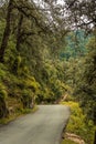 Roads in Himalayas