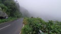 Roads Kodaikanal ooty tamilnadu india hill station mountain valleys beautiful scenery green trees tourism destination rock misty
