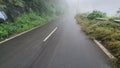 Roads Kodaikanal ooty tamilnadu india hill station mountain valleys beautiful scenery green trees tourism destination rock misty