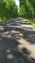 Roads in summer`s day in sunlight