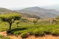 Roads in the mountain at Haputale in Sri Lanka