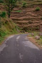 Roads in Uttrakhand