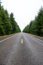 The roads of Washington State Royalty Free Stock Photo