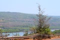 Roadside Casuarina tree with Bridge over River and Hills - Landscape in Konkan Region, Inida...