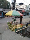 A roadside coconut seller