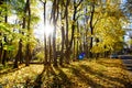 Roadside country park with colorful fall foliage thick carpet of autumn leaves blanket, tall maple trees and parked car in Royalty Free Stock Photo