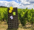 Roadside Decoration - Le Tour de France femmes 2022 Royalty Free Stock Photo