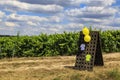 Roadside Decoration - Le Tour de France femmes 2022 Royalty Free Stock Photo