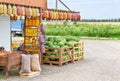 Roadside farmers market selling organic eco foodstuffs.