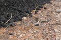 Asphalt Royalty Free Stock Photo