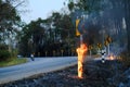 Roadside Pillar pole is burning with flames and there is smoke rising from the fire caused by wildfire