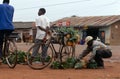 A roadside pineapple stall, Uganda.