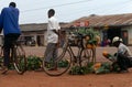 A roadside pineapple stall, Uganda