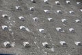 Roadside retaining wall. Technique known as soil nails, Brazil