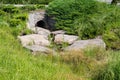 Roadside with concrete culvert on stream with grass and stones