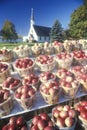 Roadside vendor selling apples