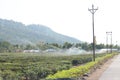 Roadside view of a Indian hill station