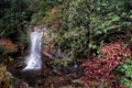 Roadside Waterfall