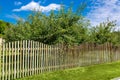 Roadside with a wooden fence of planks enclosing an apple orchard. Royalty Free Stock Photo