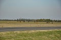 Roadtrip through Argentina, typical Szenery with cows in the countryside nearby a road - sunny day